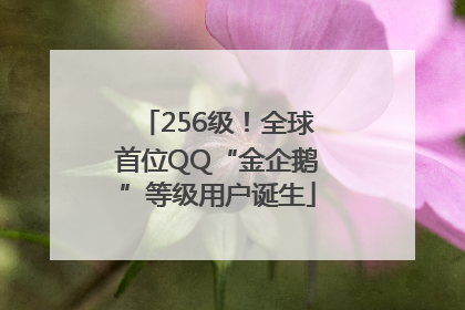 256级！全球首位QQ“金企鹅”等级用户诞生