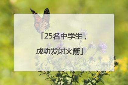 25名中学生，成功发射火箭