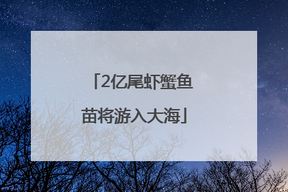 2亿尾虾蟹鱼苗将游入大海