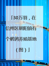 30万羽，在信州区朝阳镇有个鹌鹑养殖基地（图）