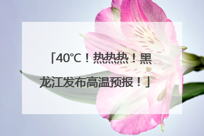 40℃！热热热！黑龙江发布高温预报！