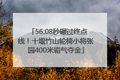 56.08秒碾过终点线！十堰竹山轮椅小将张园400米霸气夺金