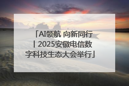 AI领航 向新同行丨2025安徽电信数字科技生态大会举行