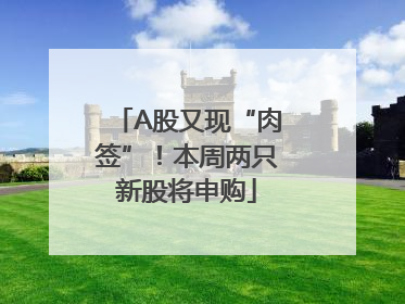 A股又现“肉签”！本周两只新股将申购