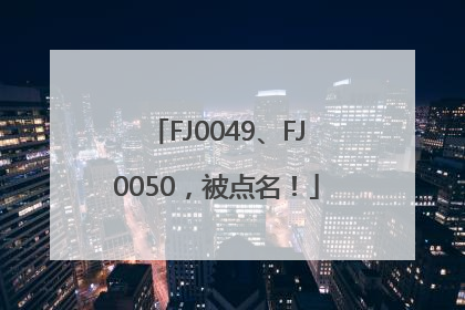 FJ0049、FJ0050，被点名！