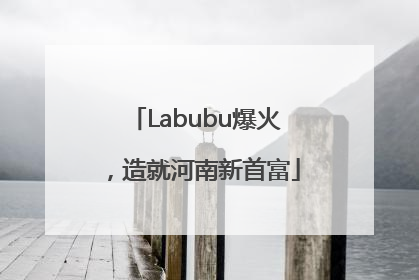 Labubu爆火，造就河南新首富