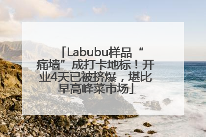 Labubu样品“痛墙”成打卡地标！开业4天已被挤爆，堪比早高峰菜市场
